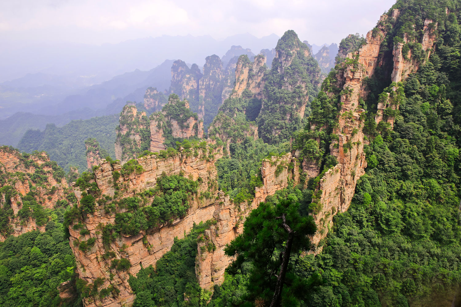 杨家界风光