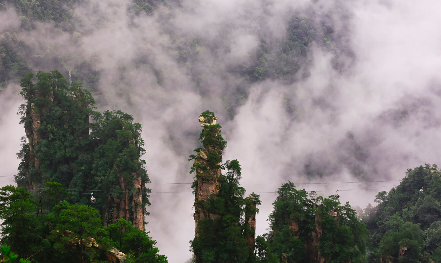 天子山风光