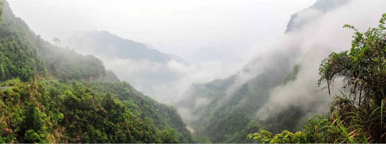 烟雨江西坎
