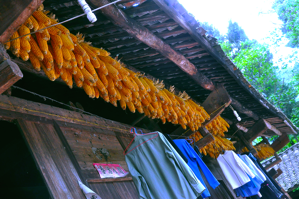 屋 檐 下