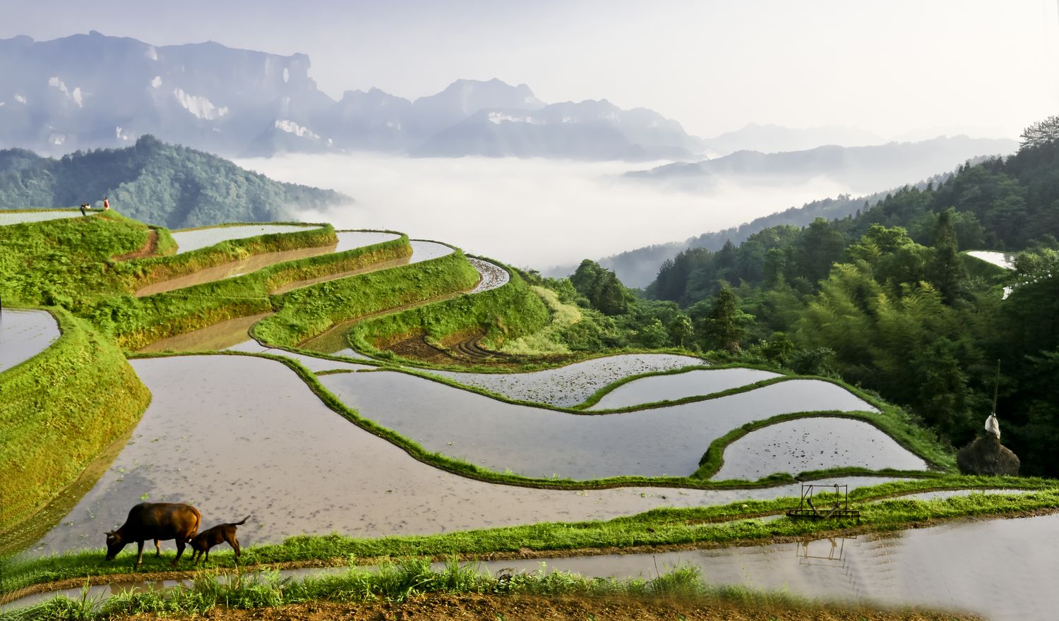 堡子界风光
