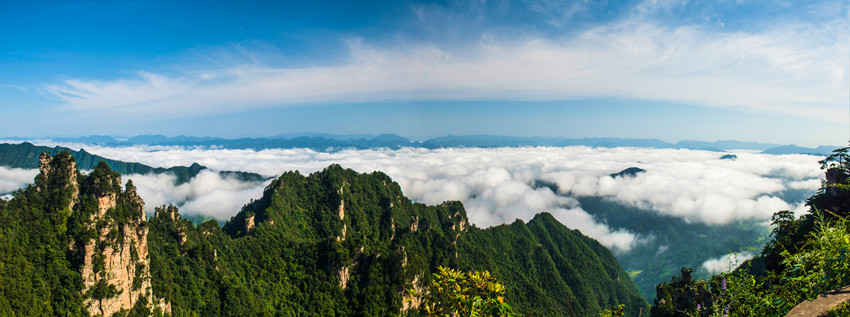 天子山接片