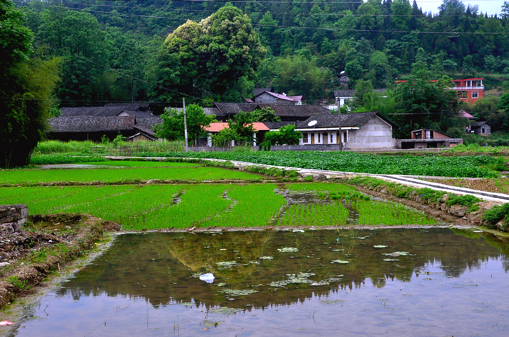 山村印象