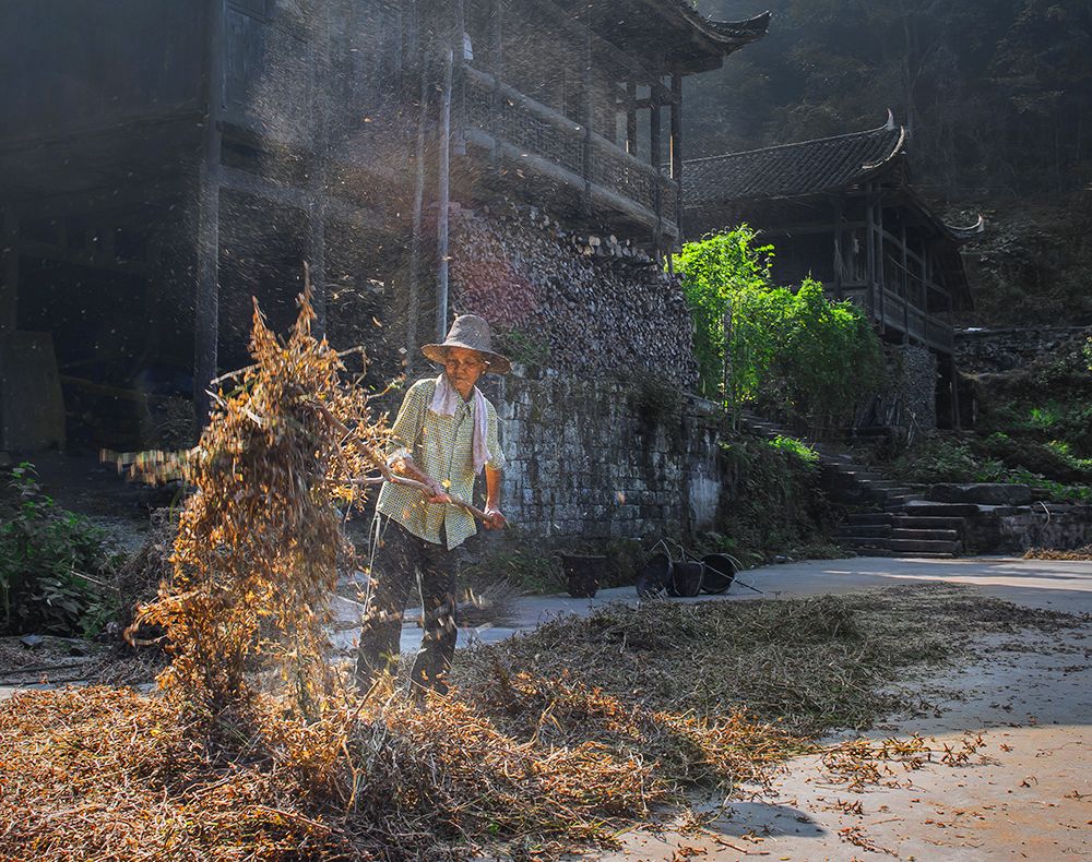 金家宅院