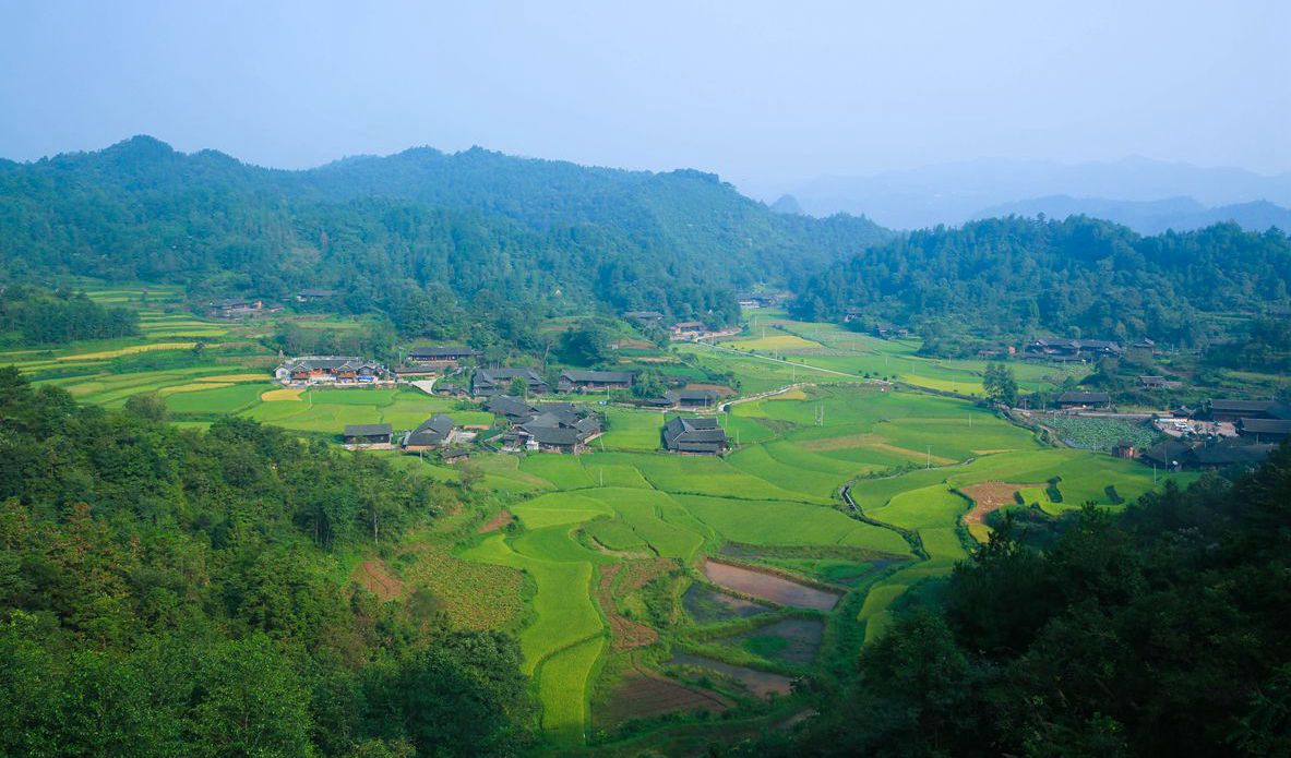 丰收在望--石堰坪