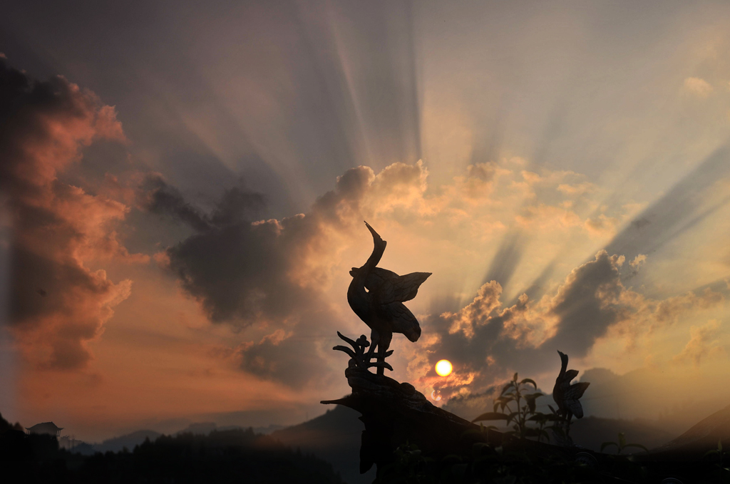 夕阳之恋