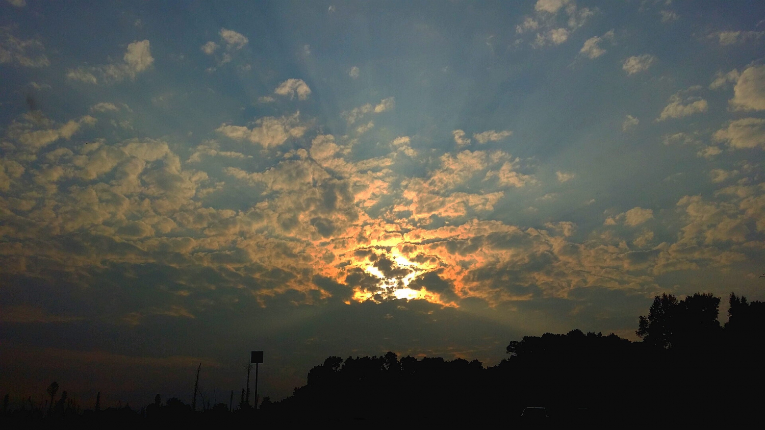 向晚霞光