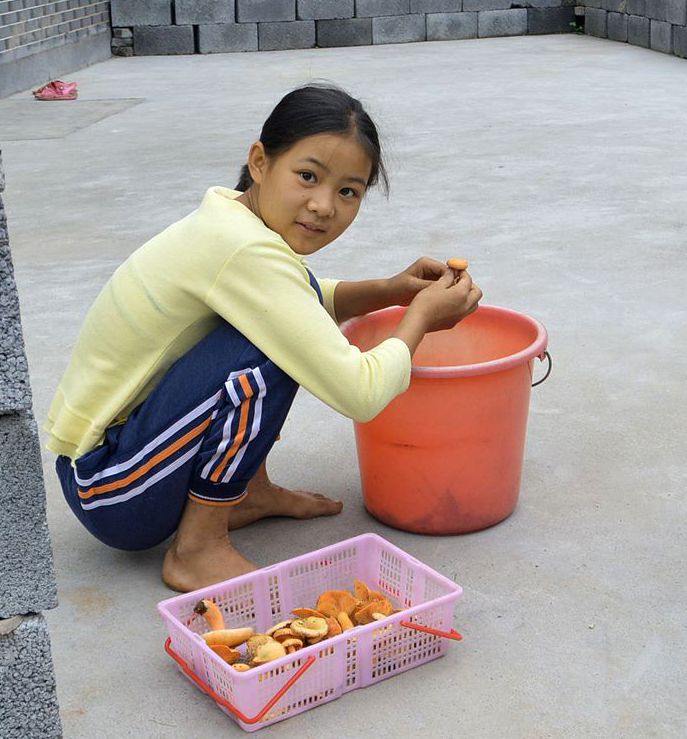 摘枞菌的女孩子