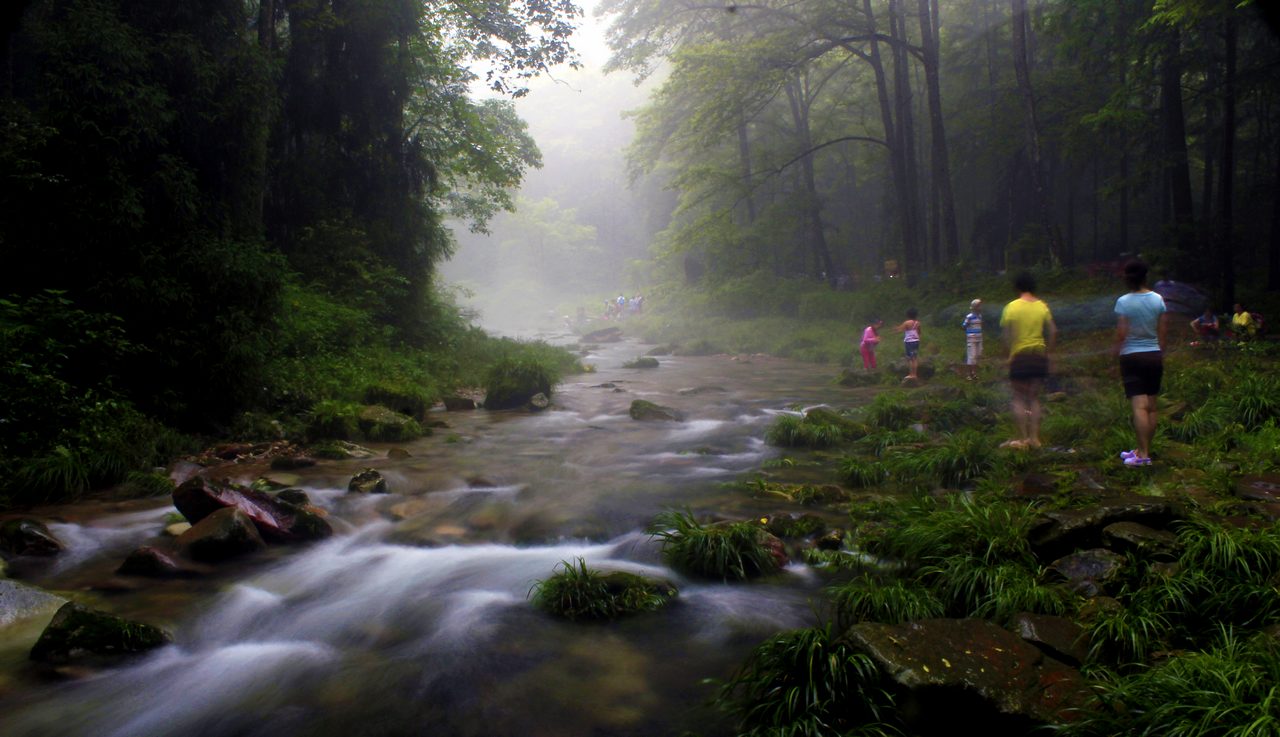 雨季醉语