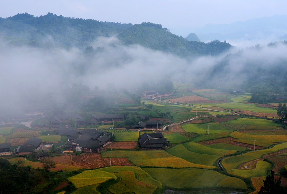 雾漫小山村