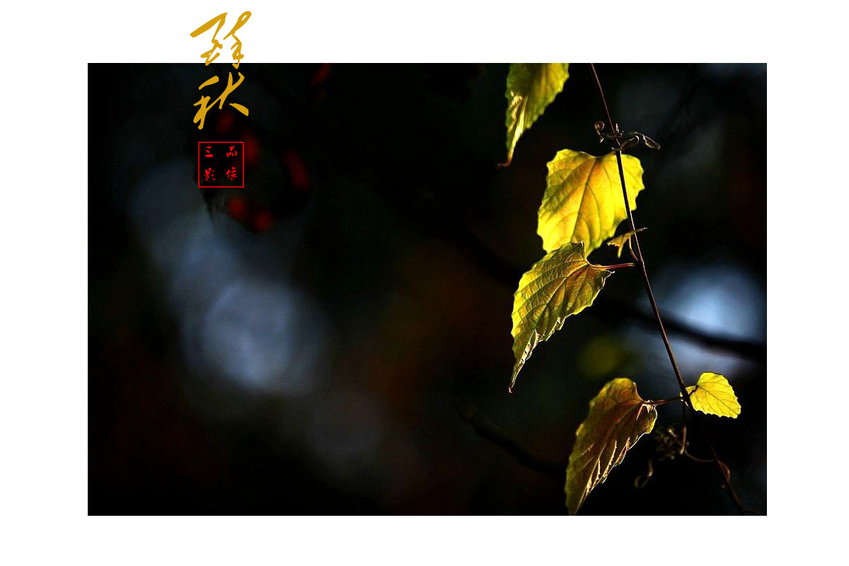 醉秋