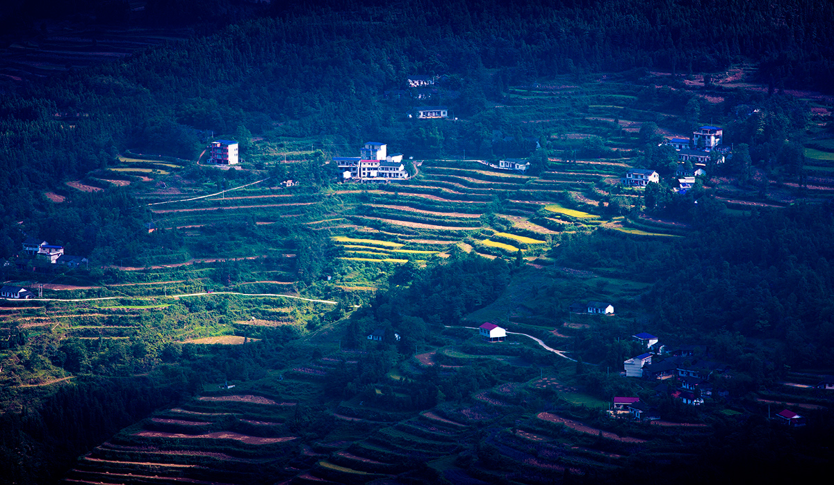 桑植沿溪坡梯田