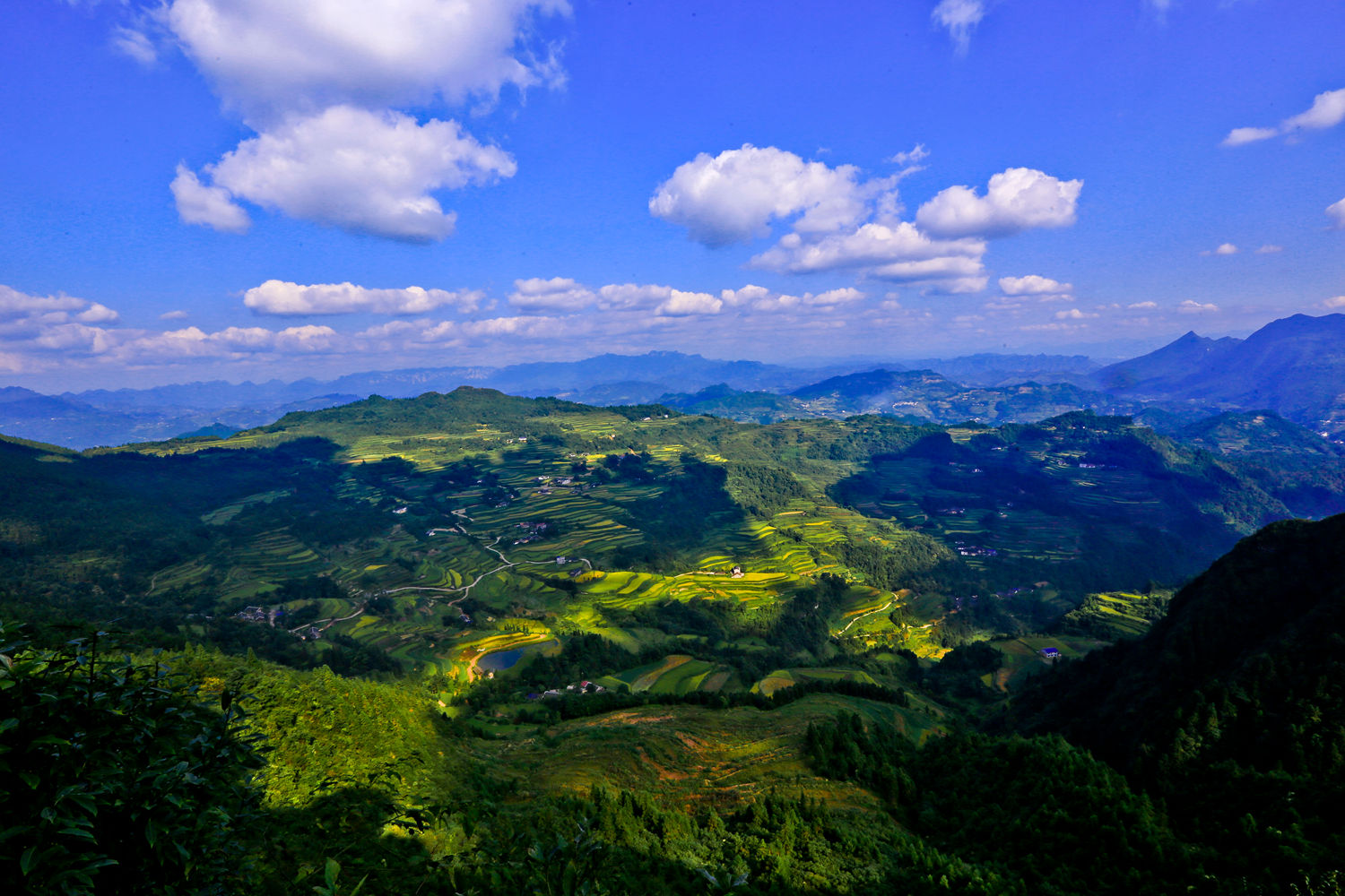 龙凤山风光