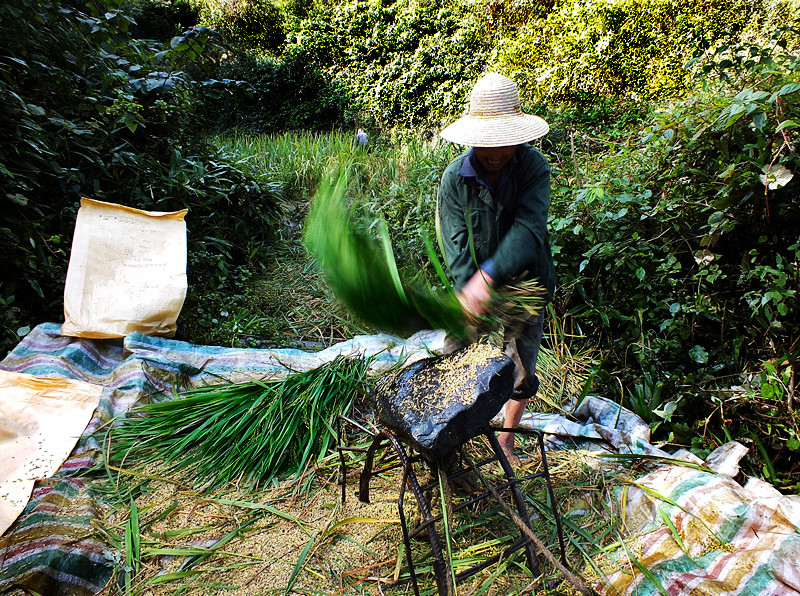 山间·最原始的打谷