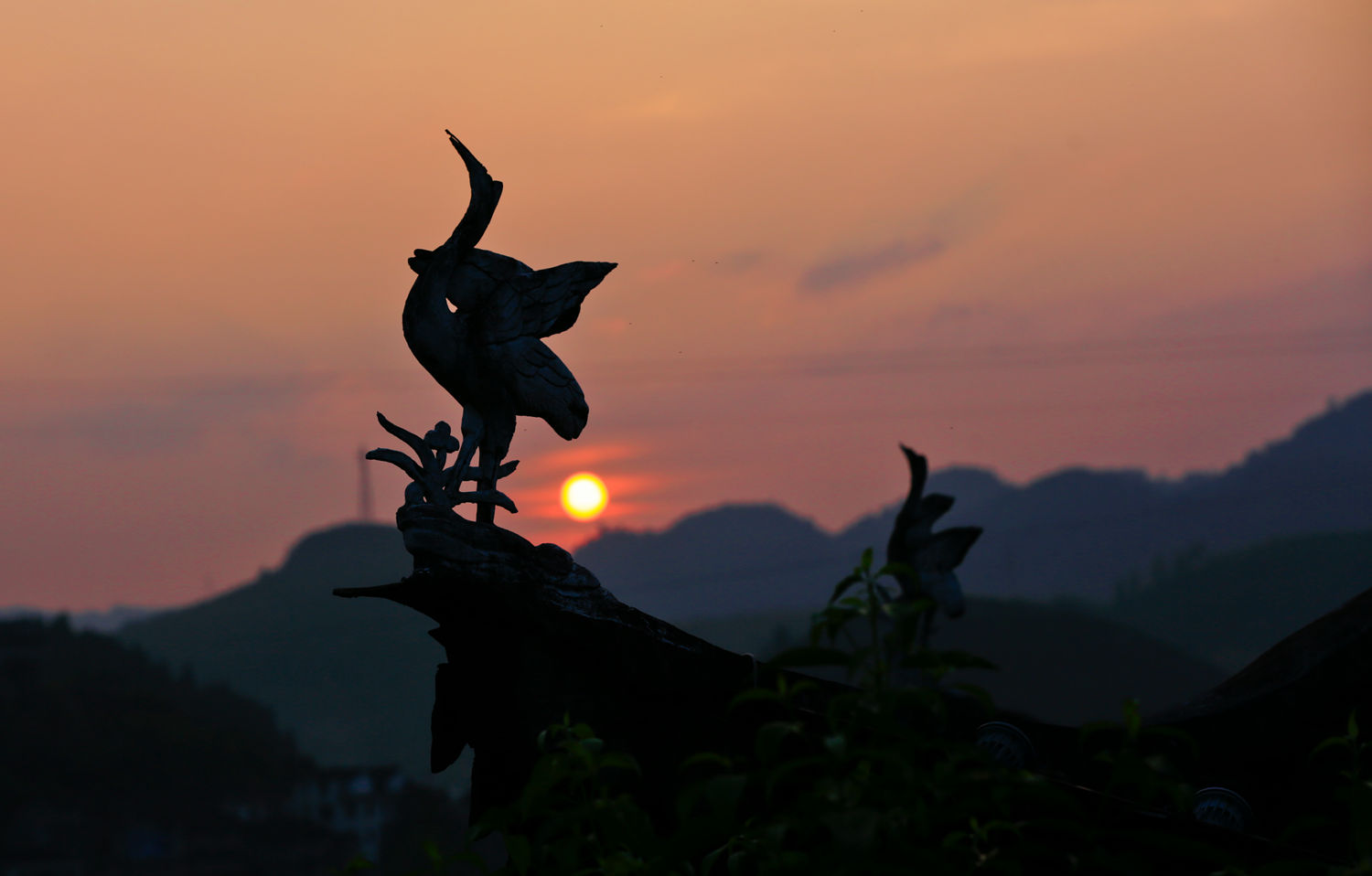 神鸟