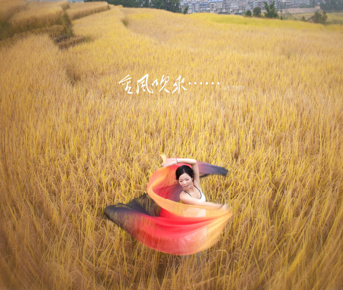 金风吹来之三
