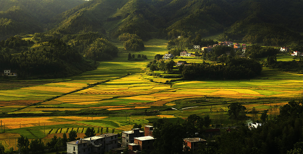 山村秋意浓