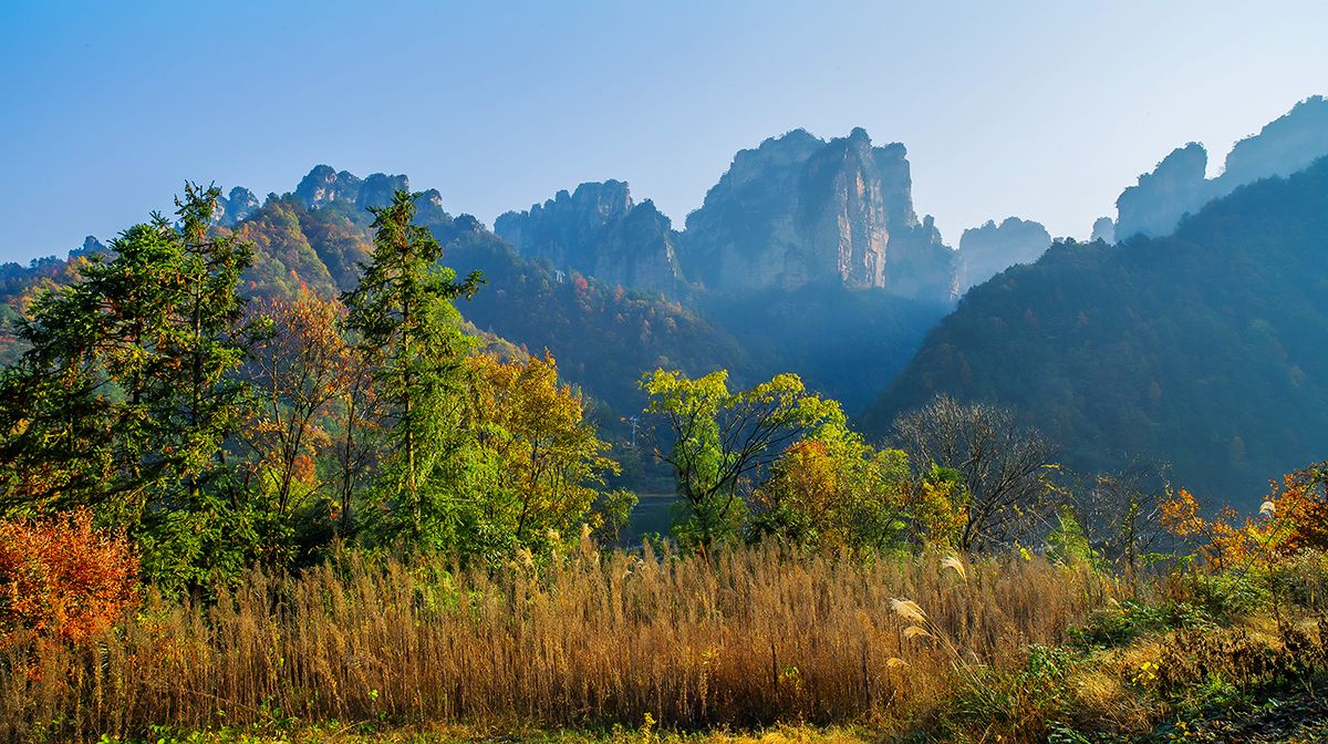 又到秋来时