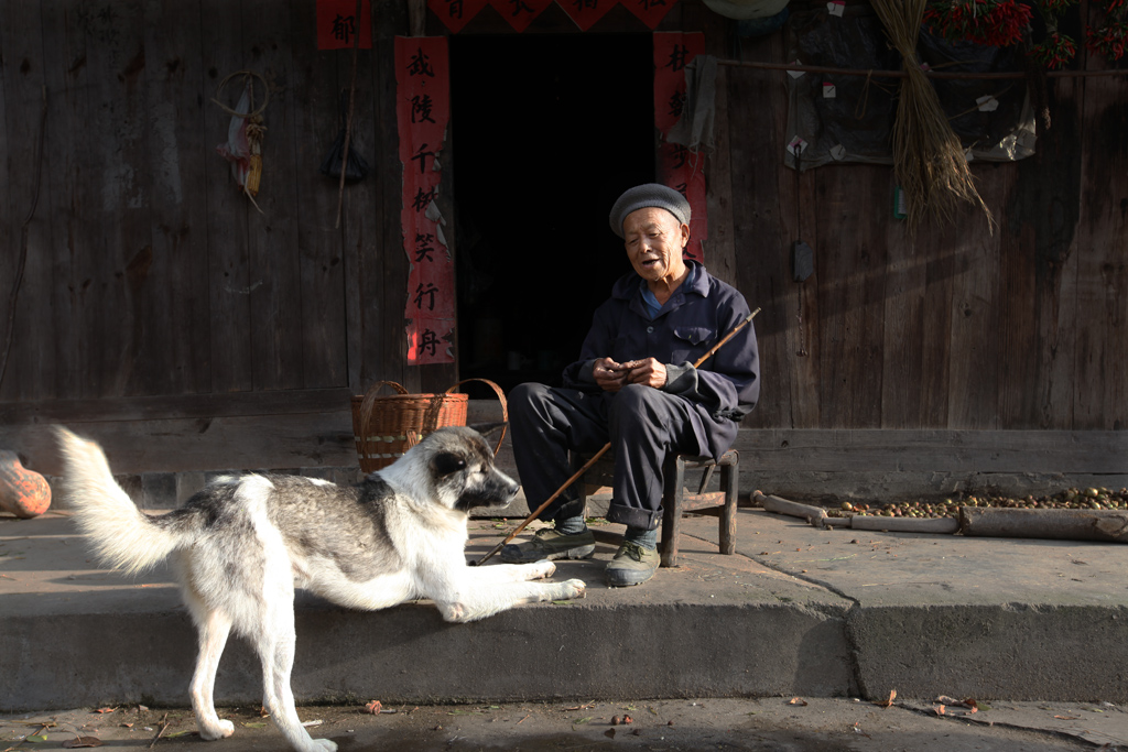 亲密伙伴
