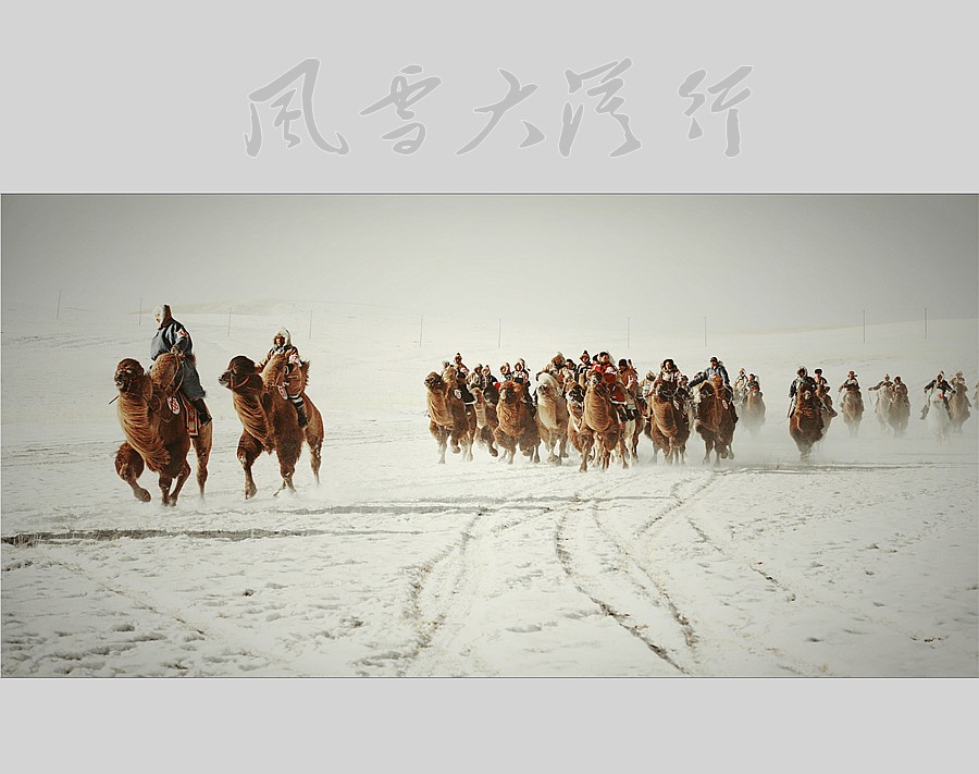 风雪大漠行