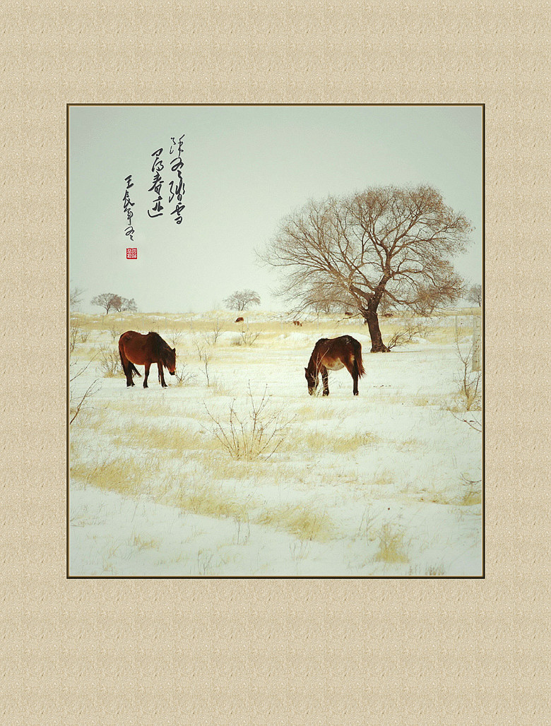 余冬踏雪