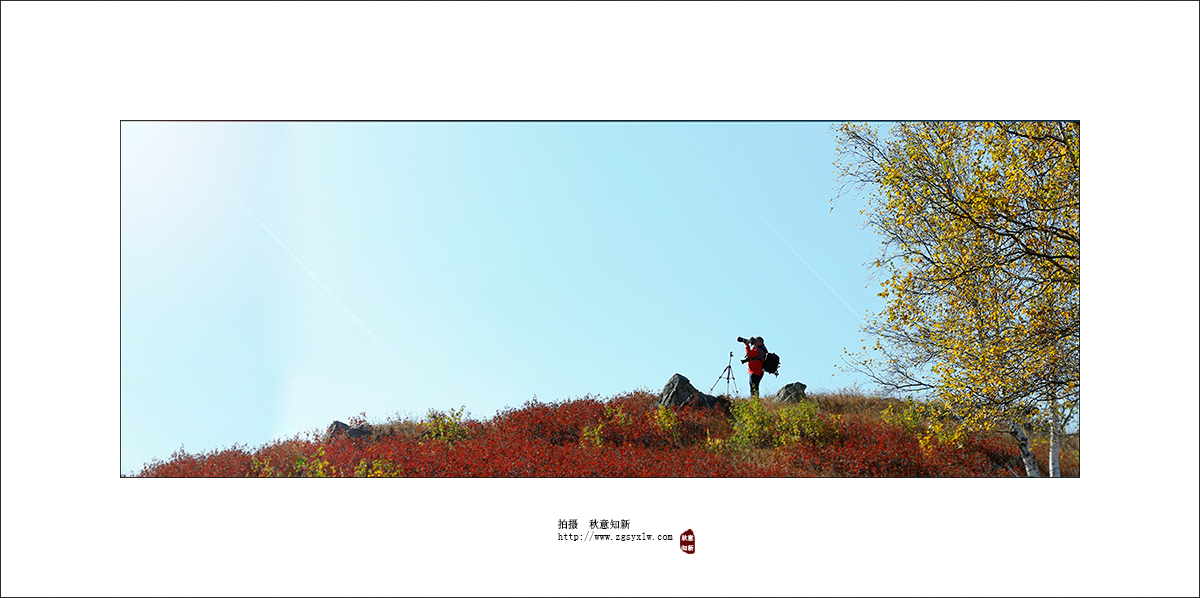 畄住时光