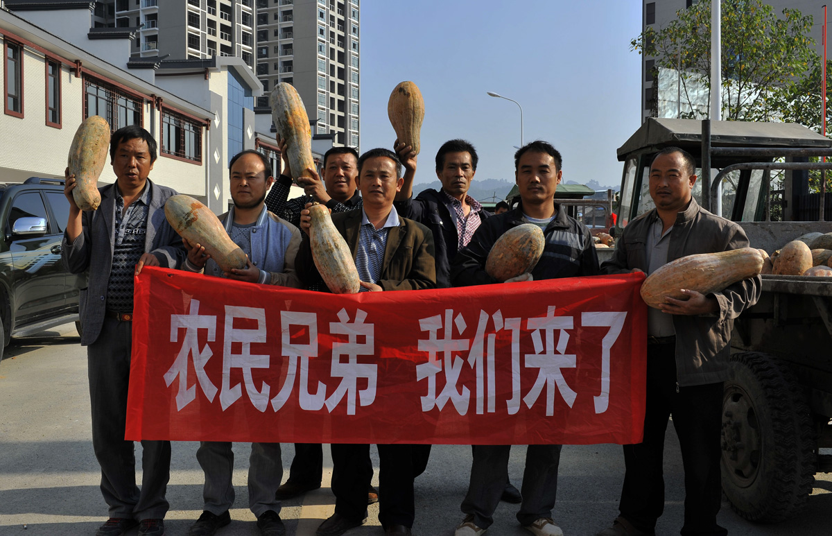 农民兄弟我们来了