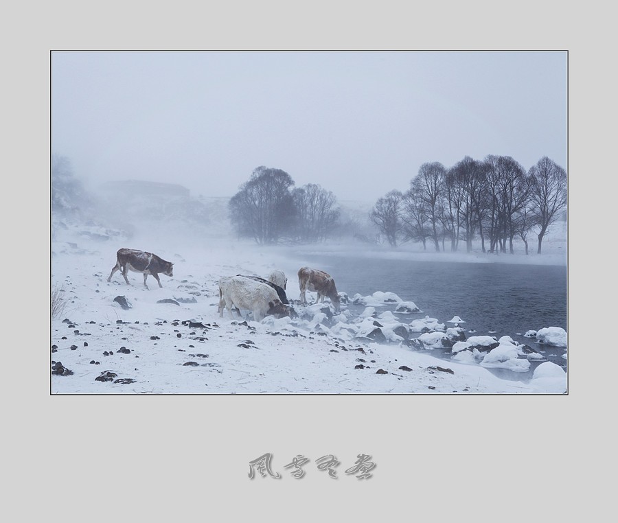 风雪冬画