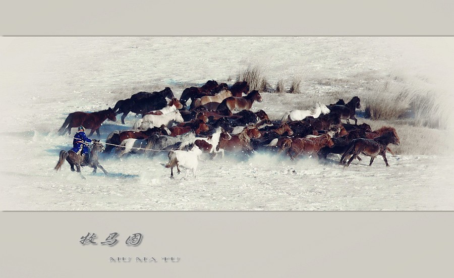 牧马图