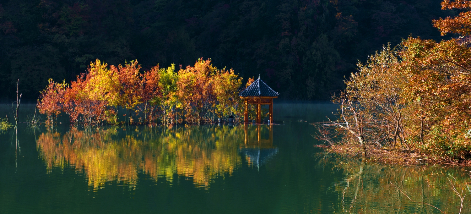 大九湖红叶