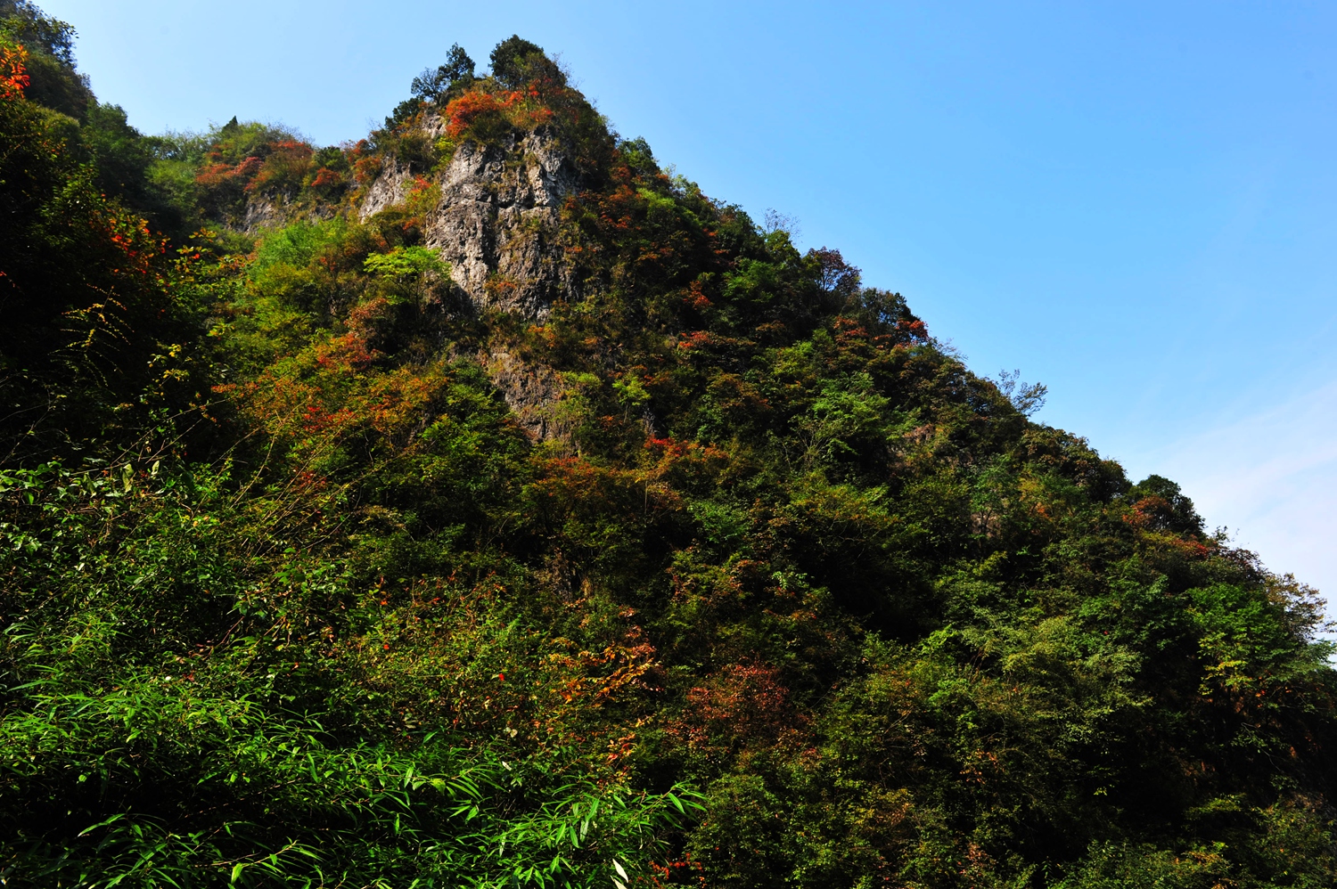 崇山秋色3