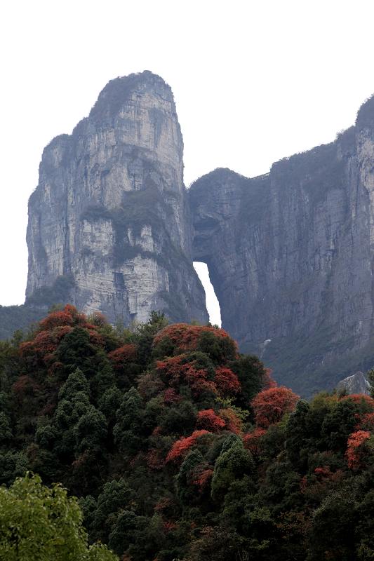 天门山红葉