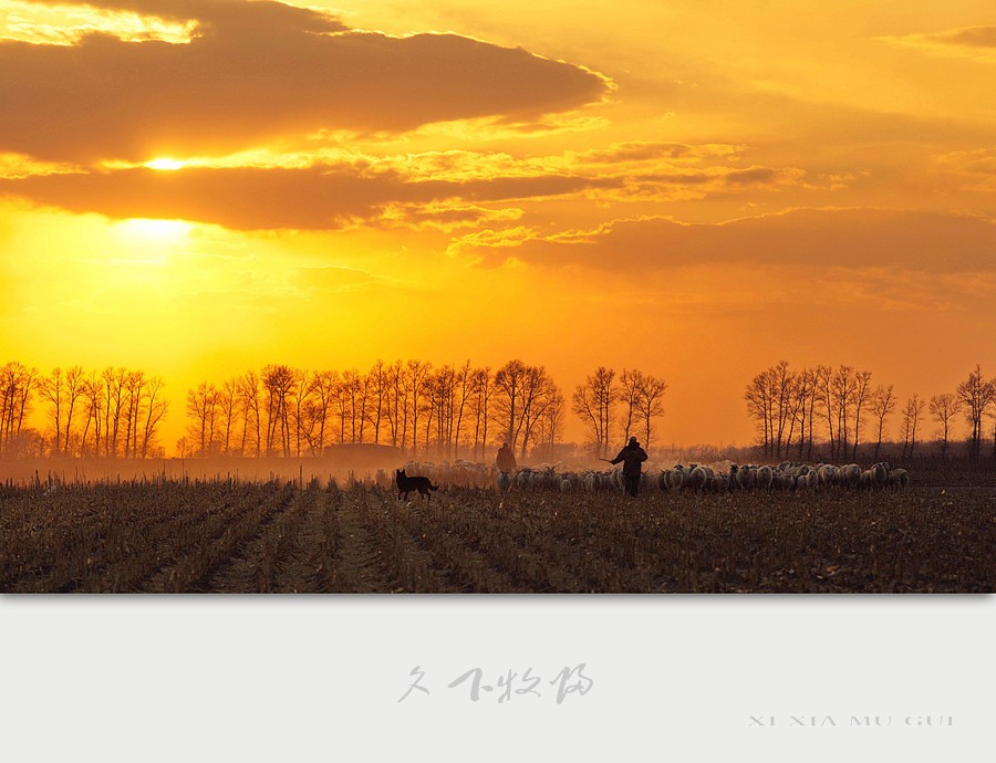 夕下牧归