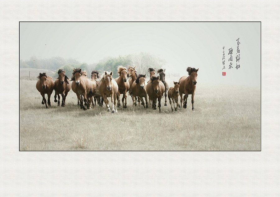 野骏雄风