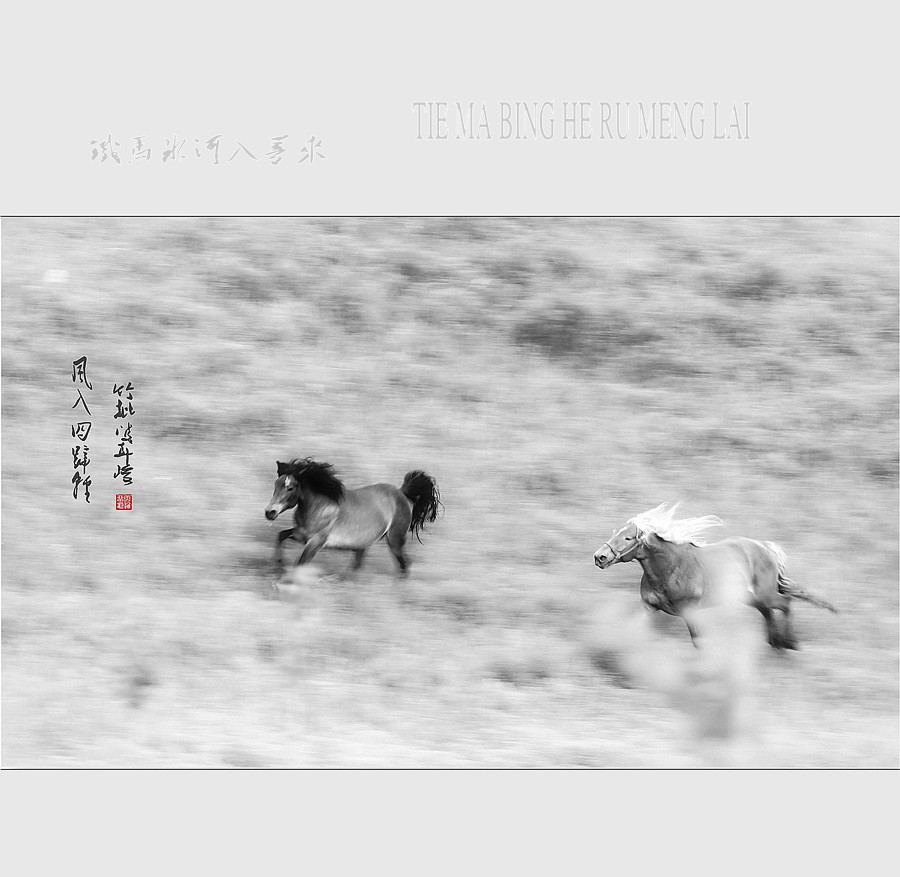 铁马冰河入梦来