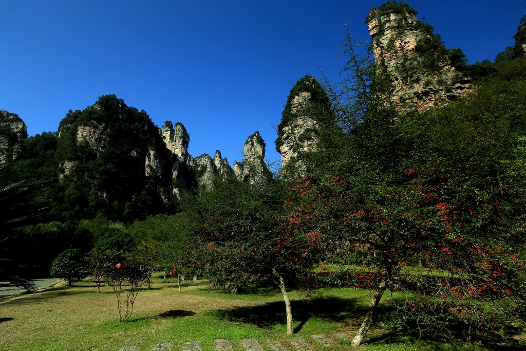 秋景