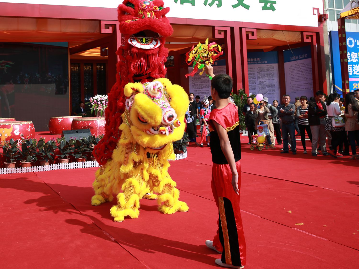 玩狮
