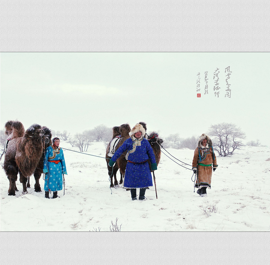 风雪走边关