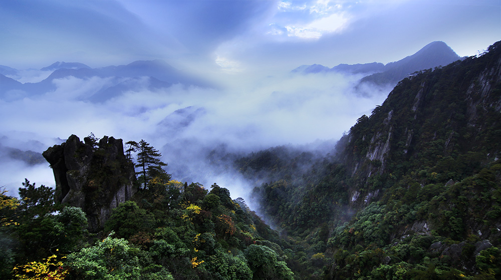 秋雨过后