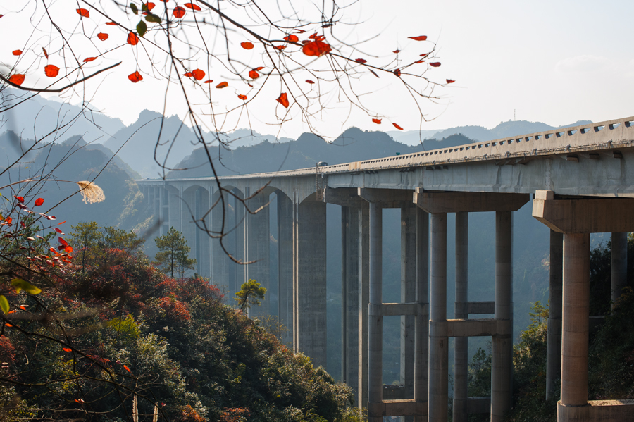 秋到洞坎河