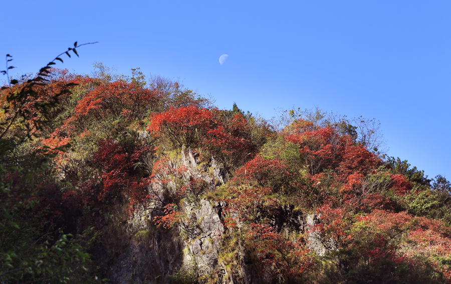日月同辉