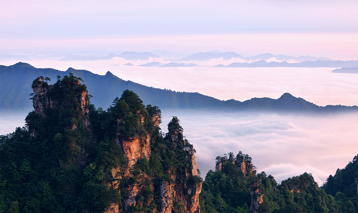 天子山云潮