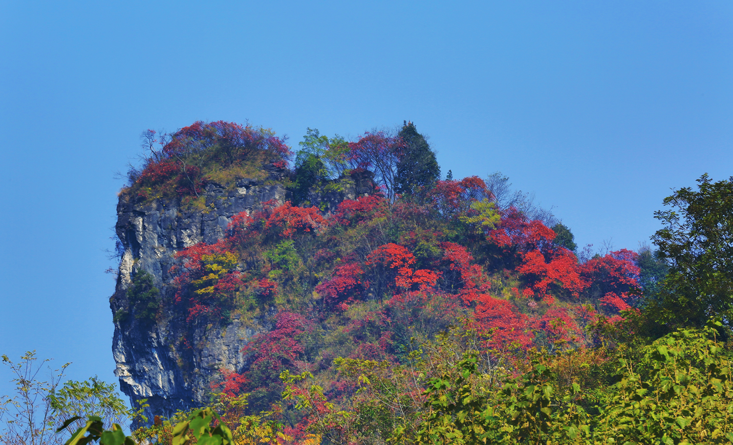 秋醉山峰