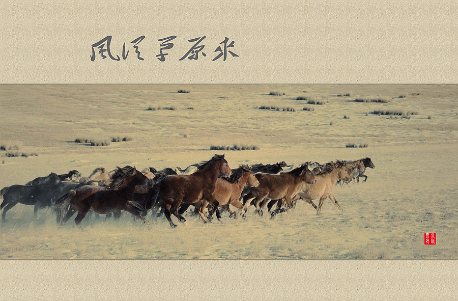风从草原来