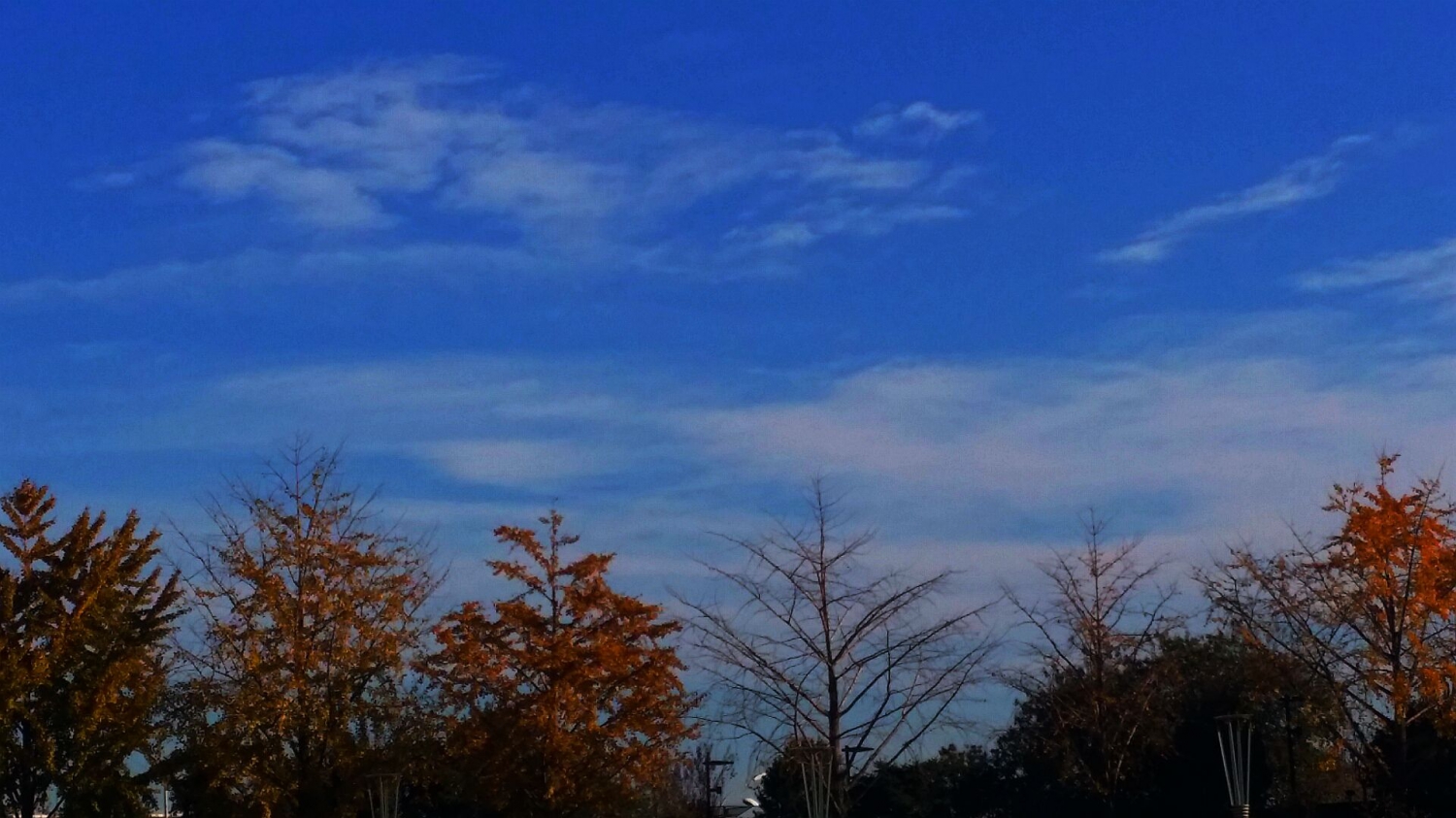 秋叶碧空