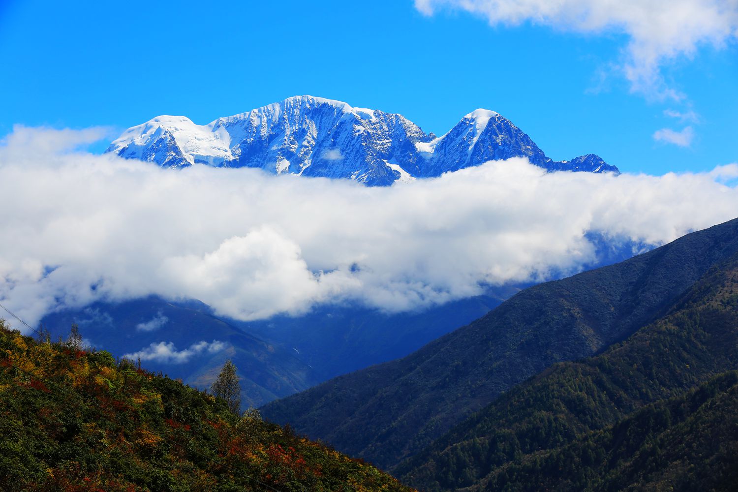 雪山之魂