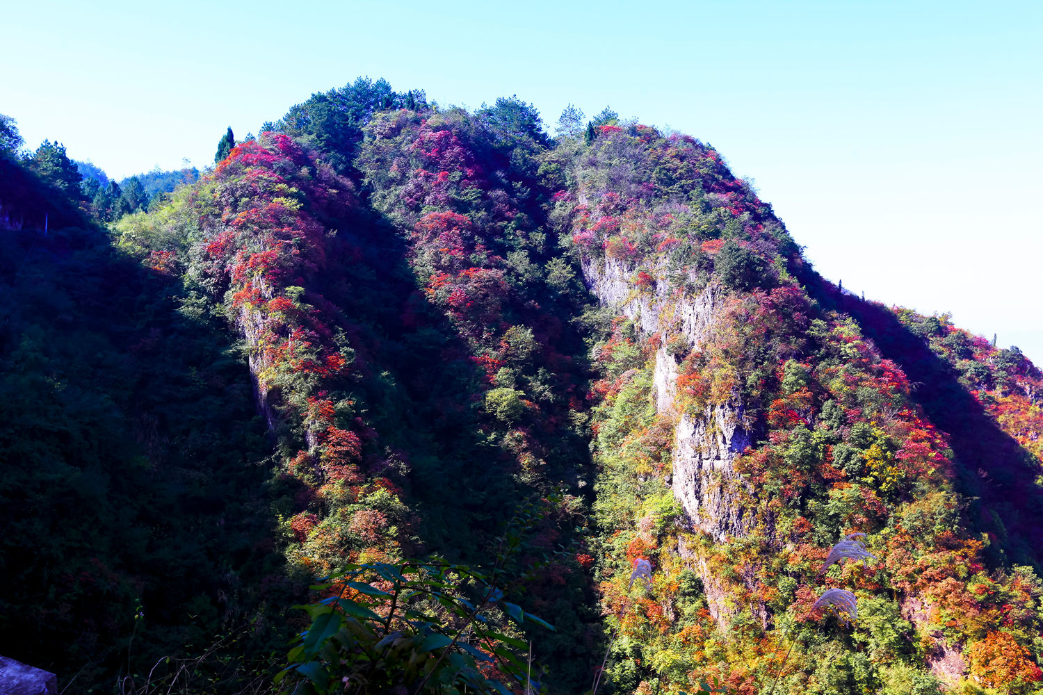 崇山之秋3