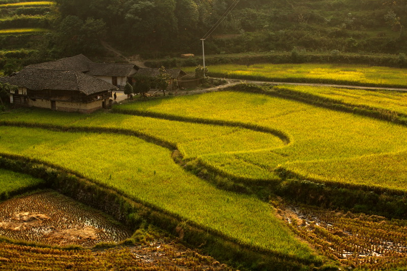 土家小院