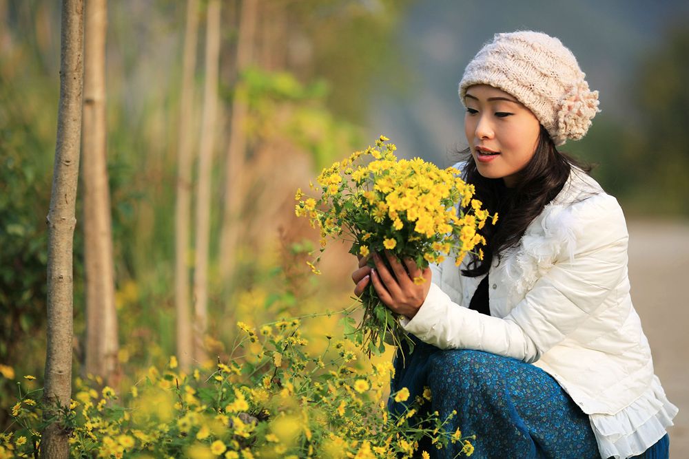 秋菊