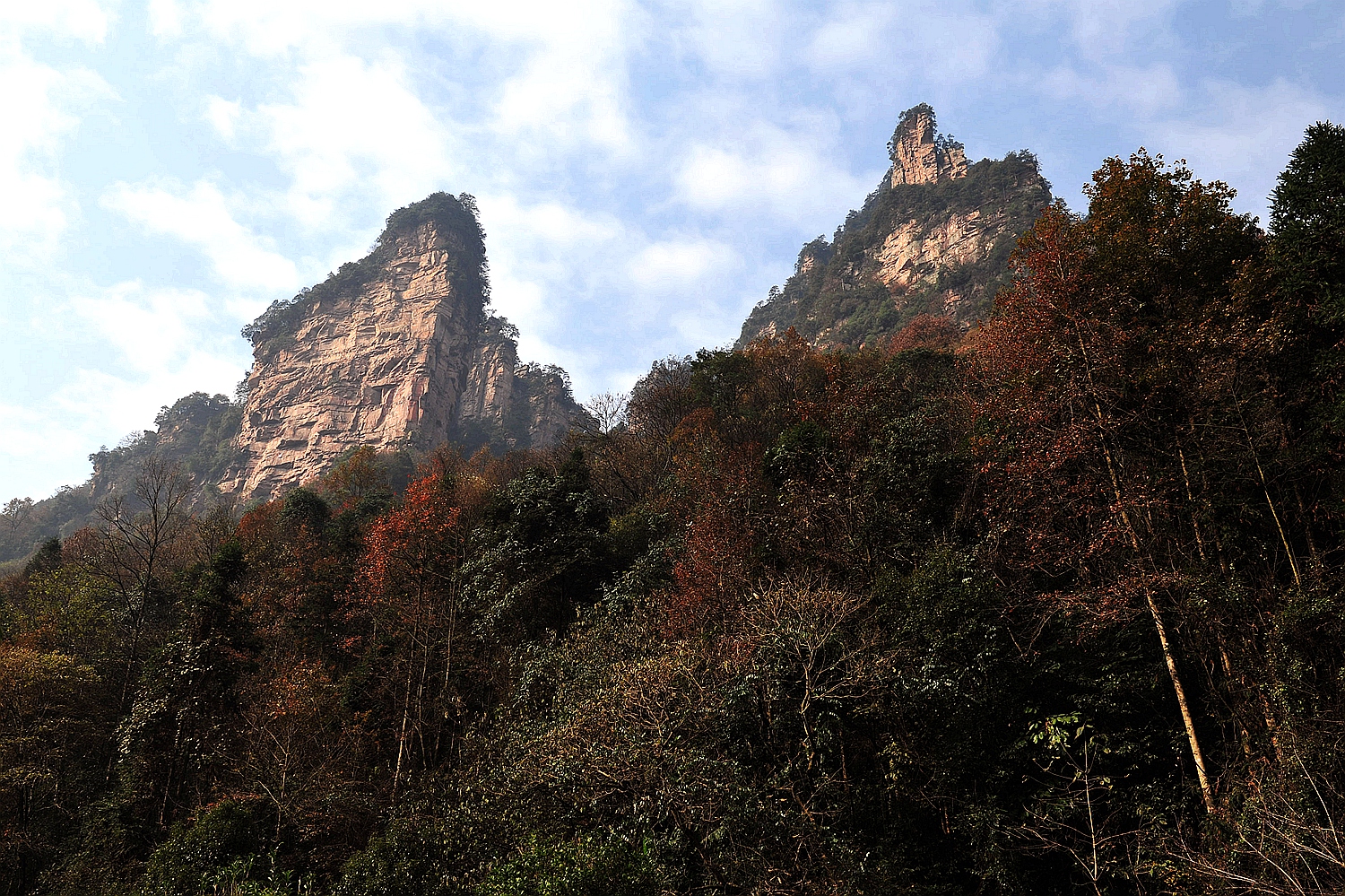 深秋的天子山
